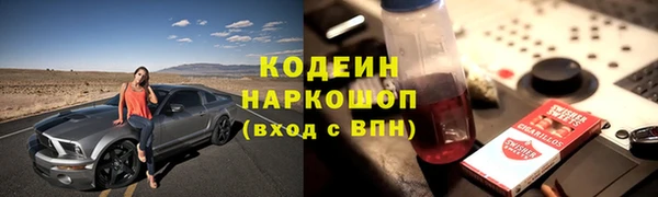 СК Абинск