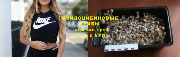 марихуана Абаза